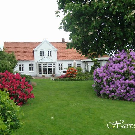 Havrevang Billund Luaran gambar