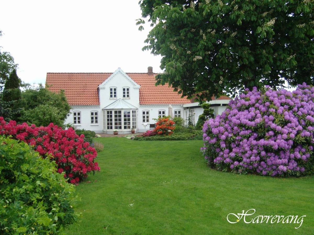 Havrevang Billund Luaran gambar